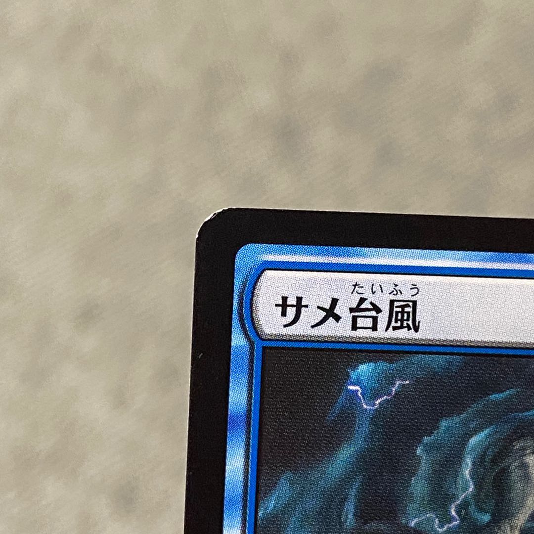 サメ台風［IKO］