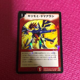 キリモミヤマアラシ