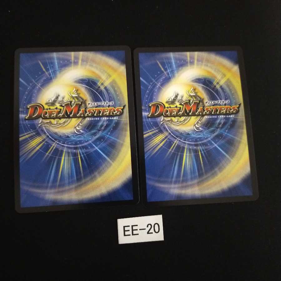 天ニ煌メク龍終ノ裁キ シク 2枚 EE020