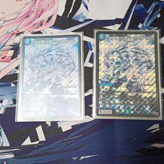 水上第九院 シャコガイル