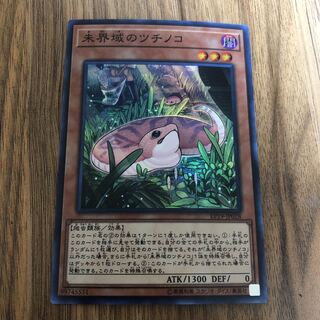 未界域のツチノコ