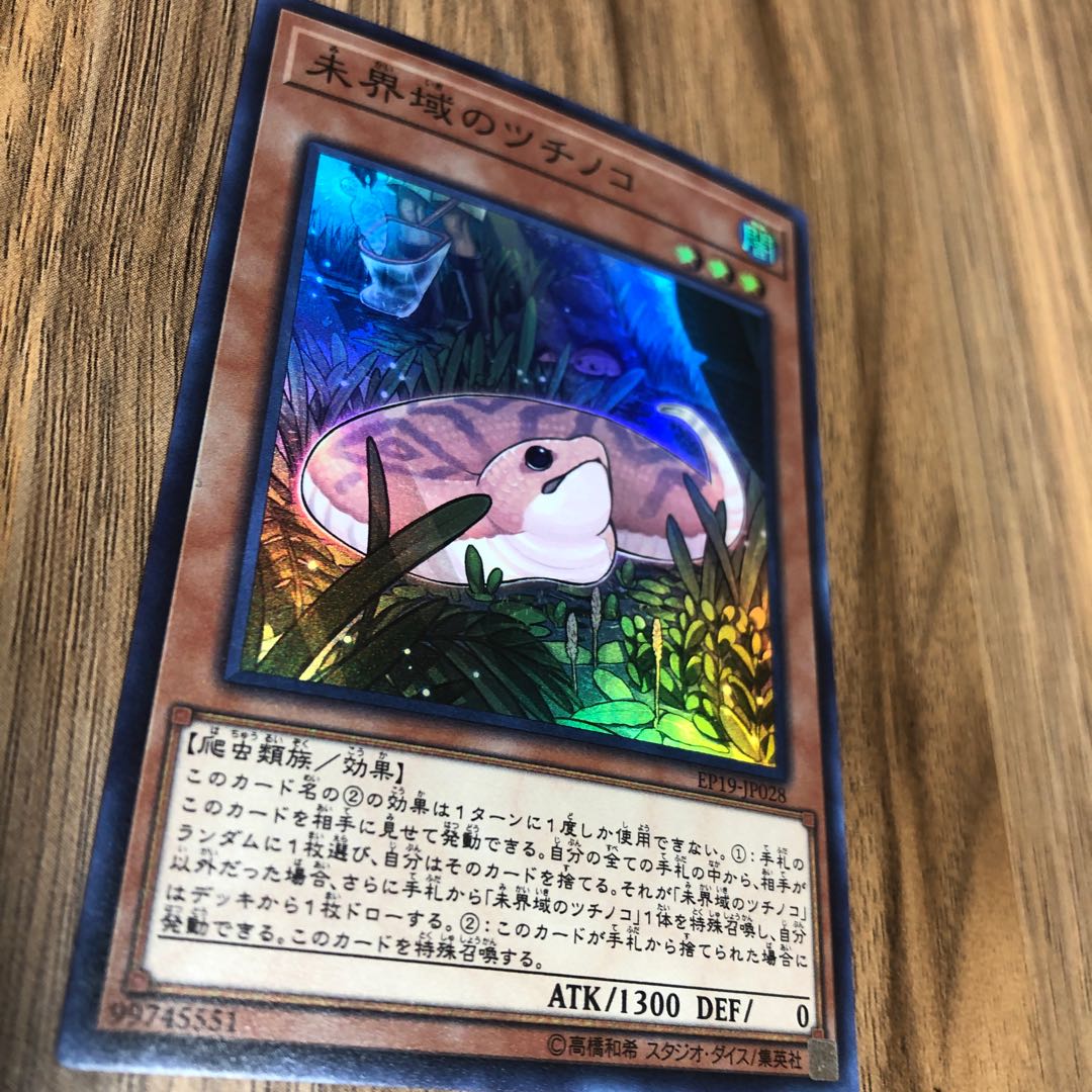 未界域のツチノコ