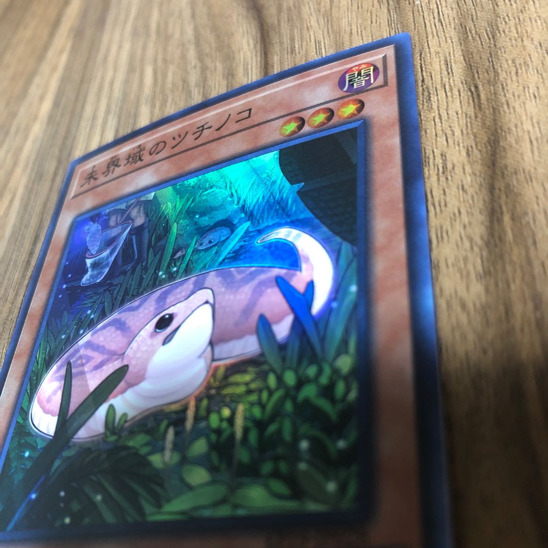 未界域のツチノコ