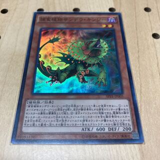 捕食植物サンデウ・キンジー スーパーレア