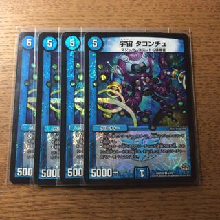 タコンチュ   4枚 4枚