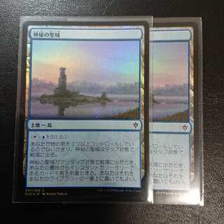 【タイムセール】神秘の聖域 日本語版Foil２枚セット