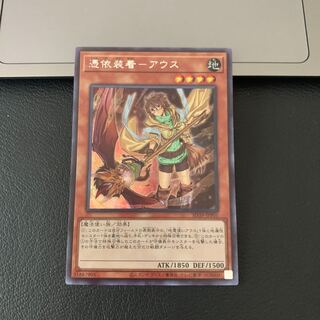 SALE憑依装着-アウス