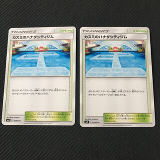 Misty's Cerulean City Gym Set of 2