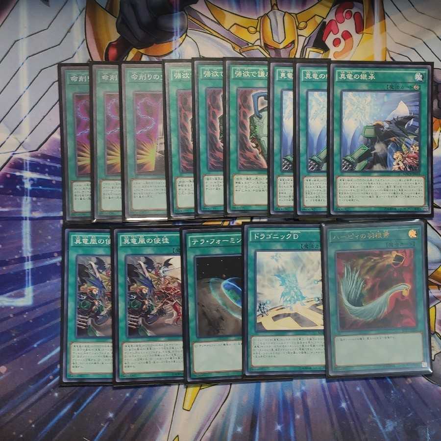 真竜デッキ40枚構築(スリーブ付き)