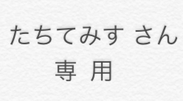 ピカチュウ&ゼクロムGX 1枚