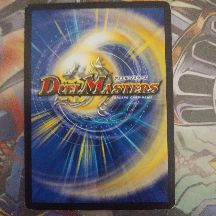 格安 イワシン4枚セット