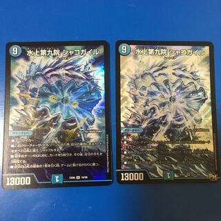 シャコガイル 2枚 シク