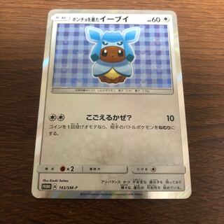 ポンチョを着たイーブイ PROMO