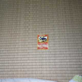 ひかるリザードン