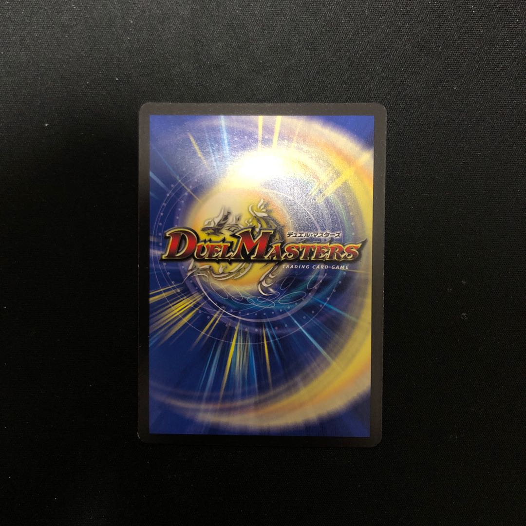 しぶけい様専用 ボルメテウス・ブラック・ドラゴン