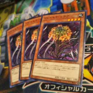 遊戯王　イビルセラルテラ