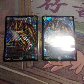 「雷光の聖騎士」