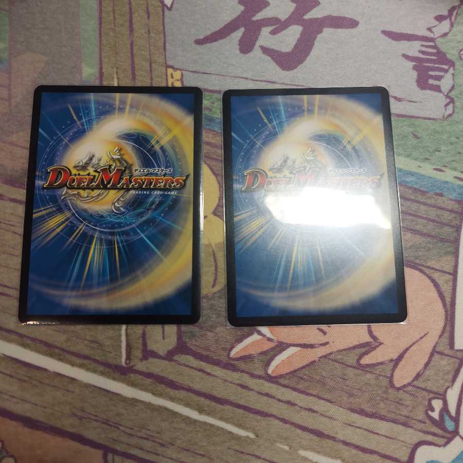 「雷光の聖騎士」