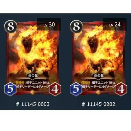 2枚セット 炎の鬣