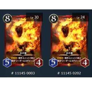 2枚セット 炎の鬣