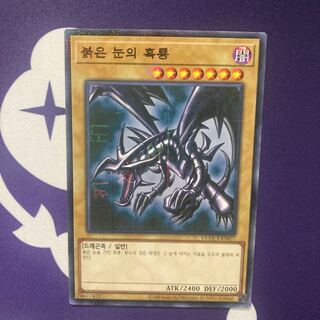 韓国語版　レッドアイズブラックドラゴン