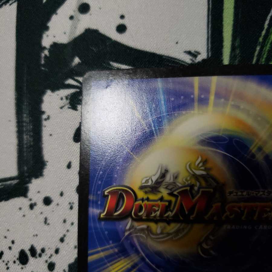 煌龍 サッヴァーク ジャンク