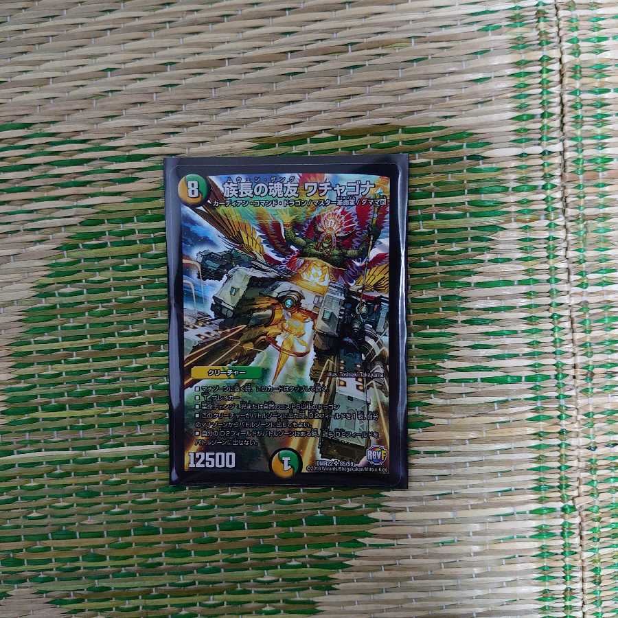 族長の魂友 ワチャゴナ