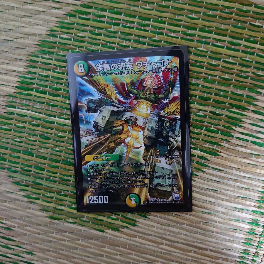 族長の魂友 ワチャゴナ ②