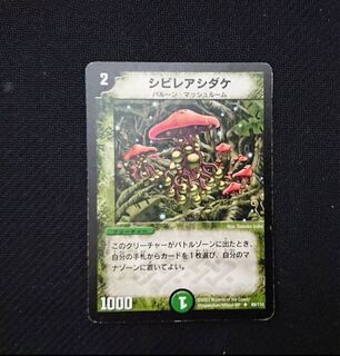 シビレアシダケ