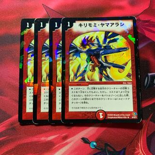 キリモミヤマアラシ 4枚