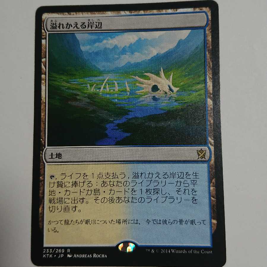 溢れかえる岸辺