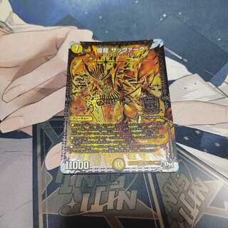 煌龍 サッヴァーク