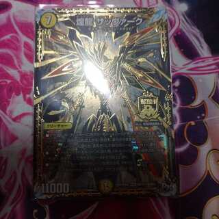 煌龍 サッヴァーク SE