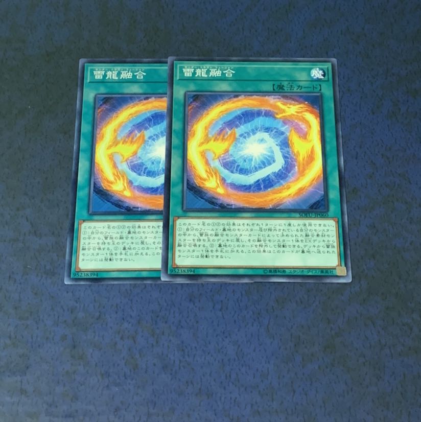 雷龍融合 ノーマル