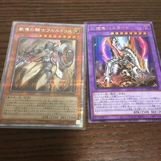 教導の騎士フルルドリス