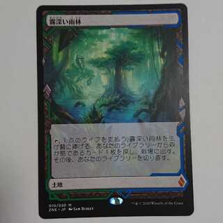 霧深い雨林 トッパー