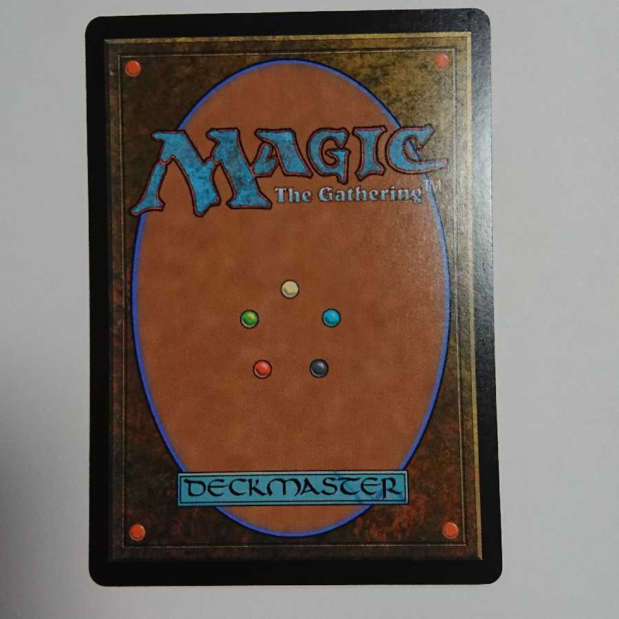 霧深い雨林 トッパー