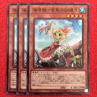 海造賊-金髪の訓練生