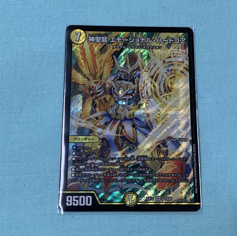 神聖龍 エモーショナル・ハードコア