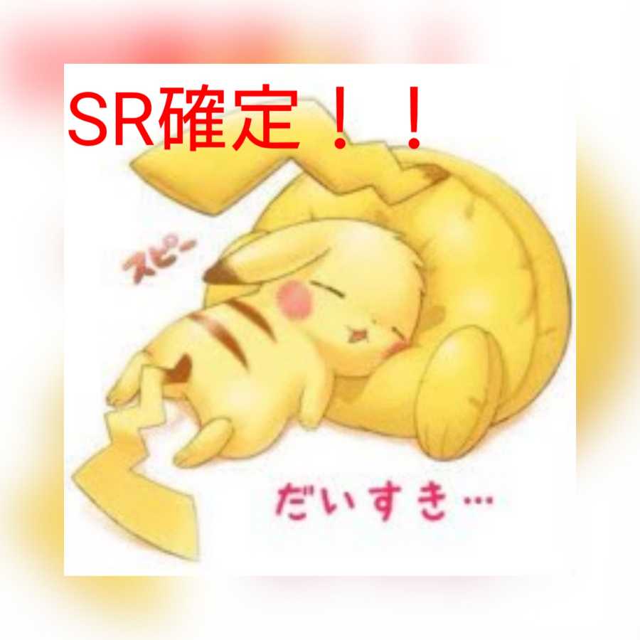 【購入用】SR以上確定！（20口）