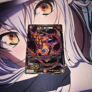 一王二命三眼槍 シク