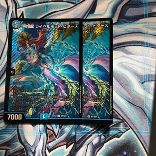 海姫龍 ライベルモット・ビターズ 2枚セット