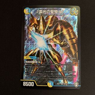 「雷光の聖騎士」