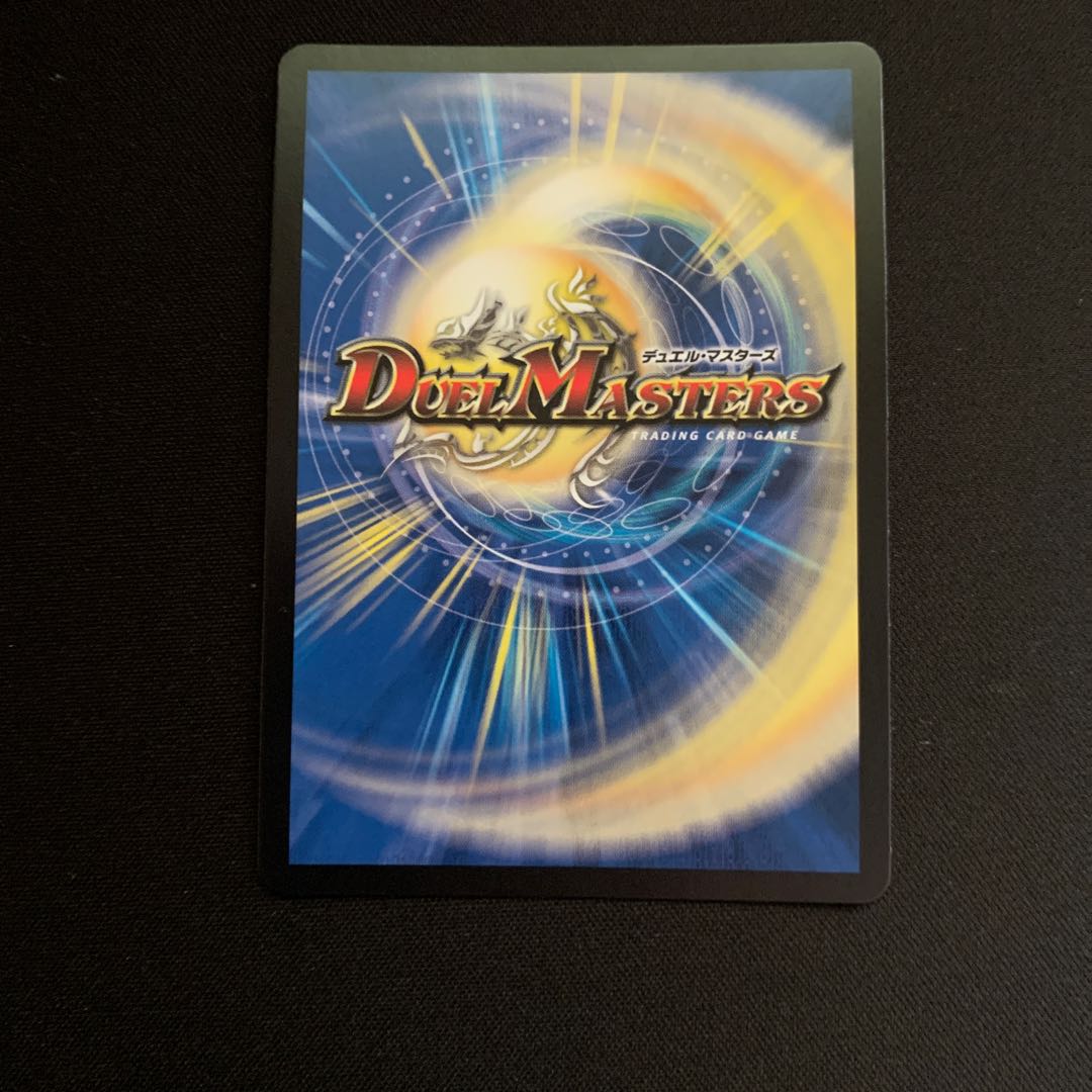 「雷光の聖騎士」