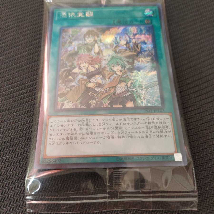 憑依覚醒 シークレットレア　未開封