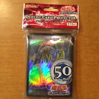 Rainbow-Dragon Sleeve