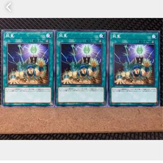 Popotan] Yu-Gi-Oh! 4443 Gravity Lash 3 cards, normal