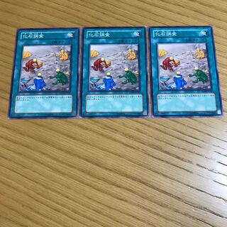 化石調査 ノーマル　3枚セット