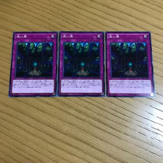 【バンブー様専用】迷い風 ノーマル　3枚セット