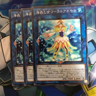 マドレース 海晶乙女コーラルアネモネ ノーマル